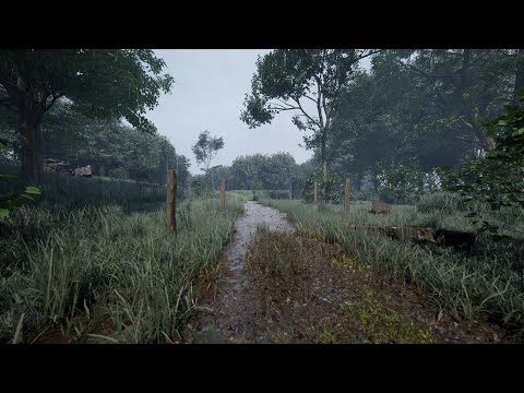 Soft Rain Sounds in Countryside Road | Soothing Sounds of Rain 8 Hours | Relax, Sleep, Study