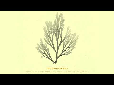 The Woodlands - "Bronze (Acoustic)"