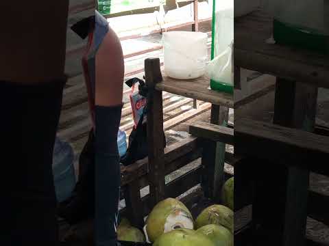 kinayod na laman ng sariwang BUKO pH street food #bukojuice #streetfood #youtubeshorts #Gatchie Jr