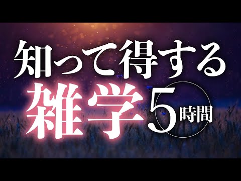 【睡眠導入】知って得する雑学5時間【合成音声】