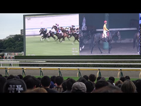 【京都大賞典2024】ディープボンドの激走に沸く東京競馬場【毎日王冠DAY】