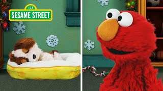 Elmo & Tango's Christmas Puppy Cam | Fun Sesame Street Holiday Songs!