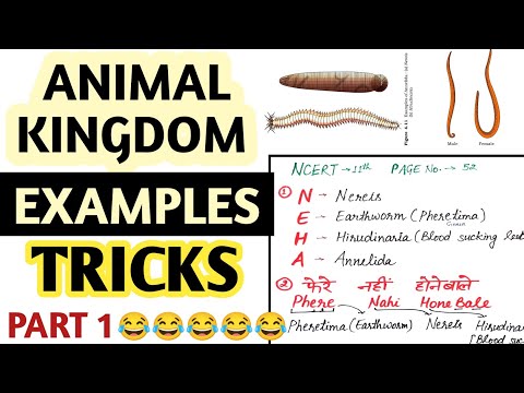 Trick to learn Examples of ANIMAL KINGDOM | Animal kingdom Tricks Part 1