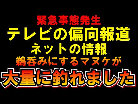 昼雑談 情報は鵜呑みにせず自分で考えましょうね＾＾ つばさの党 黒川あつひこ 黒川敦彦 根本良輔 杉田勇人