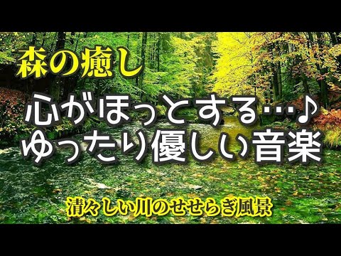 《森の癒し》 心がほっとする…♪ ゆったり優しい音楽  清々しい川のせせらぎ風景とともに