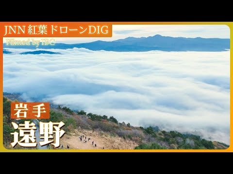 遠野の雲海【JNN 紅葉ドローンDIG 2024】｜TBS NEWS DIG