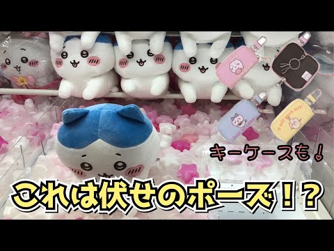 【クレーンゲーム】ちいかわ スフィンクスなハチワレBIGぬいぐるみ、ちいかわキーケースにチャレンジ！！