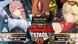 Yanagi Burnice DOMINATES | Battle Tower Stage 25 NO HIT | Zenless Zone Zero