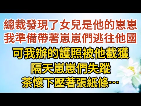 《我想離婚》第06集：總裁發現了女兒是他的崽崽，我準備帶著崽崽們逃往他國，可我辦的護照被他截獲，隔天崽崽們失蹤，茶懷下壓著張紙條……#戀愛#婚姻#情感 #愛情#甜寵#故事#小說#霸總