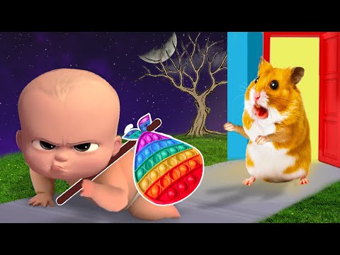 Please Don't Go! Hamster HamHam Pretend Play & Finding Bro In Real Life