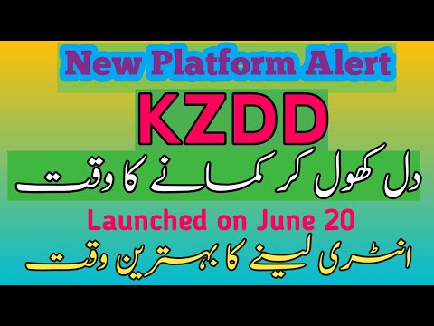 Unlocking Success with the KZDD App