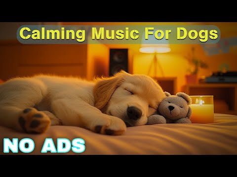 12 Hours of Dog Calming Music For Dogs 💖 Dog Separation Anxiety Music 🐶 Pet claming music🎵No Ads