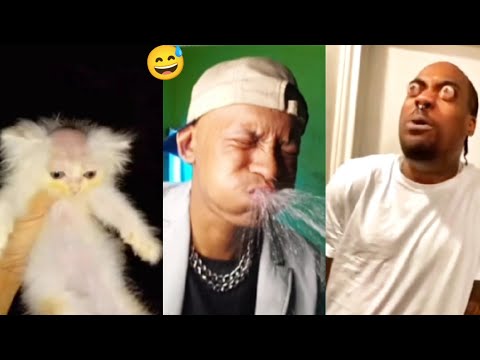 NEW BEST FUNNY VIDEOS🤣 Jacksinfo Try Not Laugh  Challenge Compilation part 5