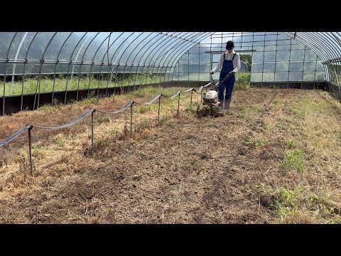 How to germinate the seeds in unusually hot wether / preparing beds with No-Dig