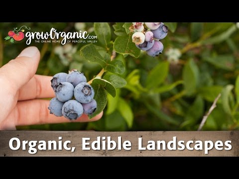 How to Grow Organic, Edible Landscapes