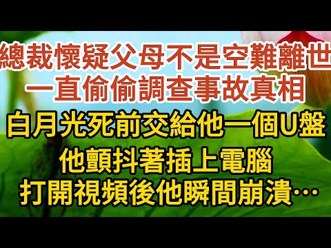 《偷來的幸福》第11集：總裁懷疑父母不是空難離世，一直偷偷調查事故真相，白月光死前交給他一個U盤， 他顫抖著插上電腦，打開視頻後他瞬間崩潰……#戀愛#婚姻#情感 #愛情#甜寵#故事#小說#霸總