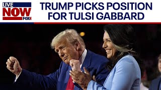 Trump cabinet: Tulsi Gabbard chosen as Director of National Intelligence | LiveNOW from FOX