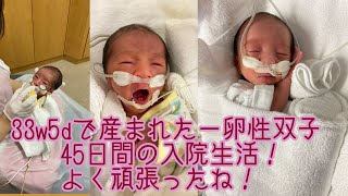 33w5dで生まれた一卵性双子の退院までの記録