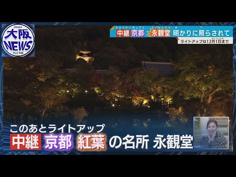 【一足早く中継！】「京都の紅葉は永観堂」11日からライトアップ 各地の紅葉見ごろ情報も