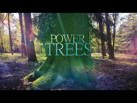 Breathe with the Trees - Powerful Connection - Sagittarius Full Moon :: Shaman Drum :: Grounding ::