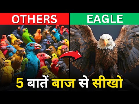 The Power of Attitude | Eagle Mentality | Best Motivational Video In Hindi