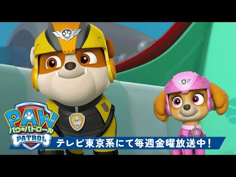 パウ・パトロール | パウパトローラー＆エアパトローラーがレスキューで大活躍！ | テレビ東京系にて放送中