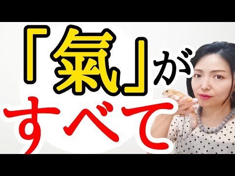 🔯ついにライオンズゲート突入🔯今年は「氣」で決まる🔥🔥