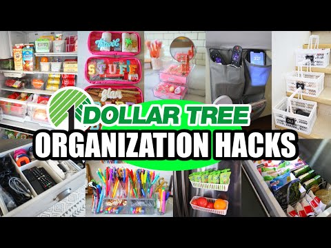 20 Dollar Tree Organization Hacks that are ACTUALLY useful