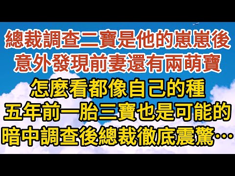 《一胎三寶》第06集：總裁調查二寶是他的崽崽後，意外發現前妻身邊還有兩萌寶，怎麼看都像自己的種，五年前一胎三寶也是可能的，暗中調查後總裁徹底震驚……#恋爱 #婚姻 #爱情 #故事#小说#霸总