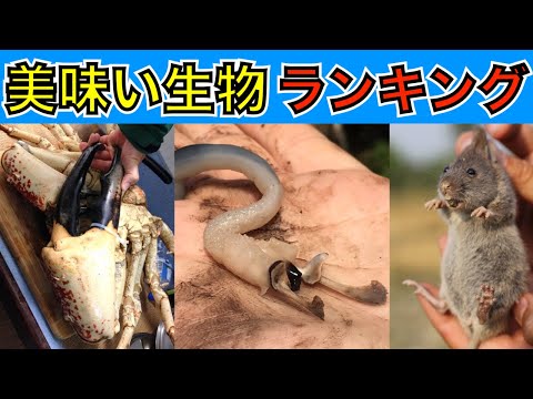 海外で捕獲したおいしい生き物ランキング！