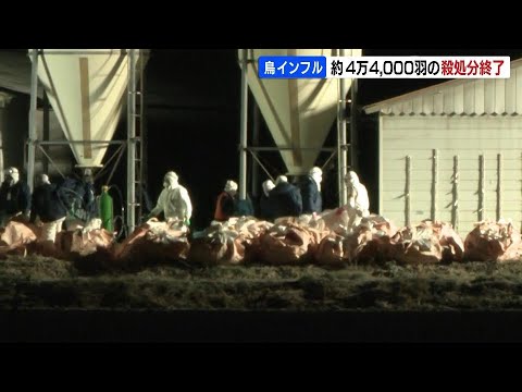 採卵用の鶏約４万4000羽の処分終わる　高病原性鳥インフル検出の北海道旭川市の養鶏場　消毒などの防疫作業は18日まで続く