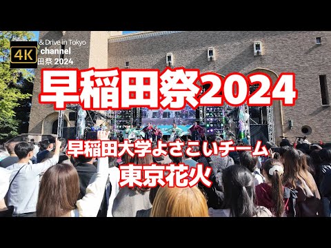 4K【早稲田祭2024～早稲田大学よさこいチーム「東京花火」躍動感あふれる迫力の舞！大隈重信講堂前ステージ】【日本最大級の学園祭テーマは「君物語、結集。」】早稲田大学