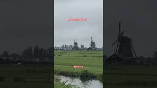 #nature #travelholland #holland #windmills #hollandwindmills #biyahera  #traveleurope #traveller