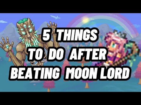 5 things to do after beating Moon lord