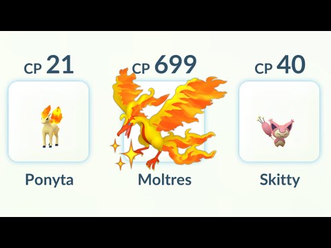 I used Low CP SHINY GALARIAN MOLTRES in Pokemon GO and WON.