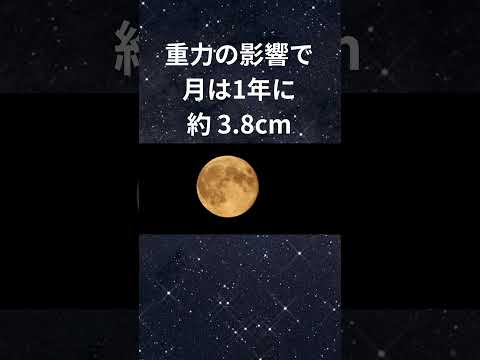 快眠療法士の睡眠雑学#shorts