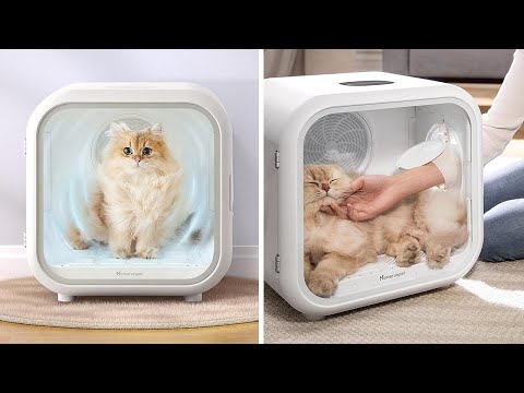 A Stand In Dryer for Your Pet! The Homerunpet Drybo Plus