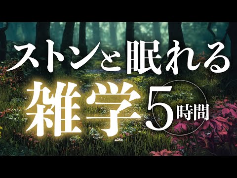 【睡眠導入】ストンと眠れる雑学5時間【合成音声】