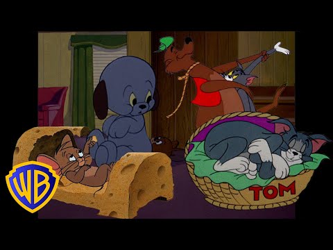 Tom & Jerry | Cozy Days with Tom and Jerry 🍁 | Classic Cartoon Compilation | @wbkids​