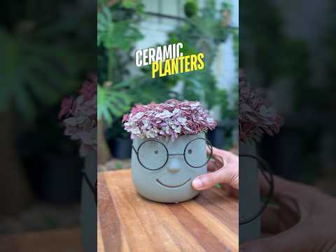 കണ്ണട വെച്ച ചെടിച്ചട്ടി 🥸 #ytshorts #gardening #ceramicpots