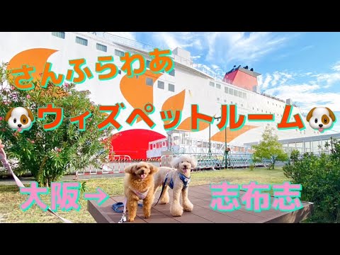 2023秋✨宮崎＆鹿児島の旅①【さんふらわあ⛴️ウィズペットルーム】大阪→志布志 #さんふらわあ #ウィズペット