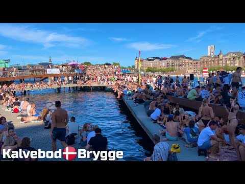 Kalvebod Brygge 🇩🇰 Harbor Beach | 4k Summer 2023 | Copenhagen Denmark | Beach Walk