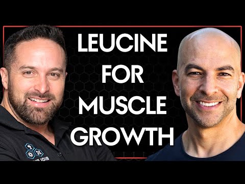 Muscle protein synthesis and the importance of leucine | Peter Attia & Layne Norton