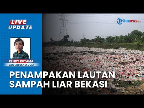 Viral Penampakan Lautan Sampah Liar di Bekasi, Pemkab Langsung Bertindak Angkut Sampah