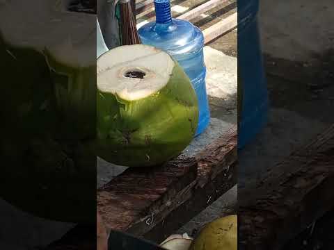 freshly cut coconut water pH street food #cuttingskils #streetfood #youtubeshorts #Gatchie Jr