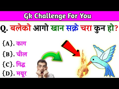 Gk Questions And Answers in Nepali।। Gk Questions।। Part 564।। Current Gk Nepal