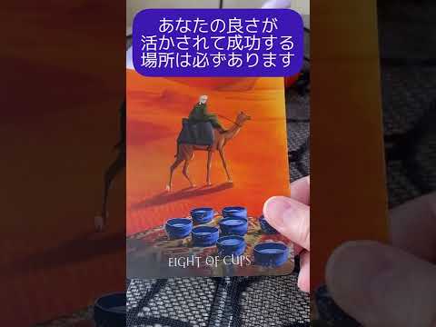 【タロット】🐫今のあなたに必要な一言メッセージ🍀🌈🔮