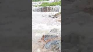 🔥Amazing waterfalls🔥#shorts #viral #rain #tnrains #tnrain 🔥