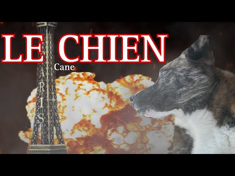 LE CHIEN- Movie 2023