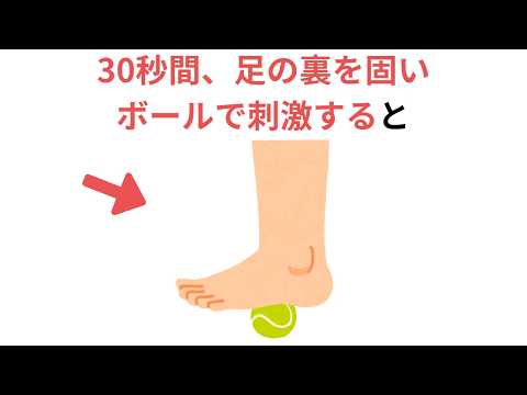 【聞き流し1時間】実生活に活かせる有益な雑学